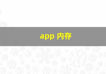 app 内存